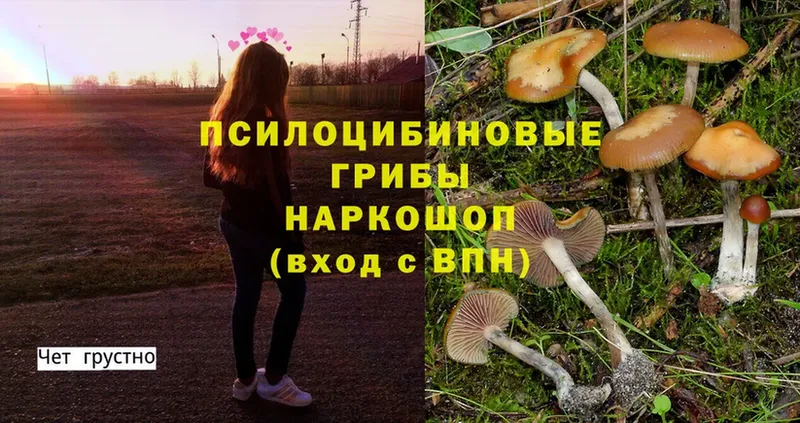 Псилоцибиновые грибы Psilocybine cubensis  где купить наркоту  Апрелевка 